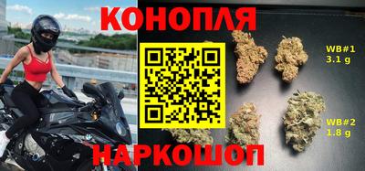 СК Моздок